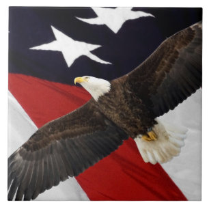 Águia Em Voo Sobre Bandeira Americana