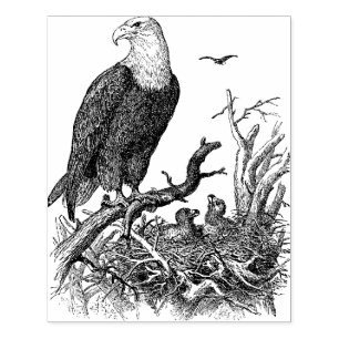 Águia Grande Cartão de Borracha de Carimbo