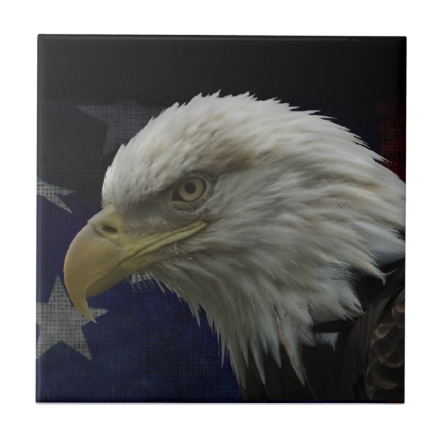 Águia Patriótica e Bandeira (Frente)
