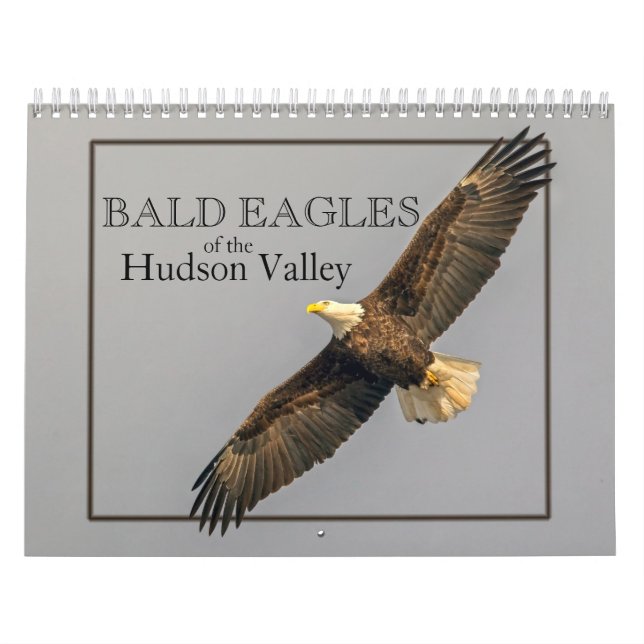 Águias Baldas do Calendário do Vale do Hudson (Capa)