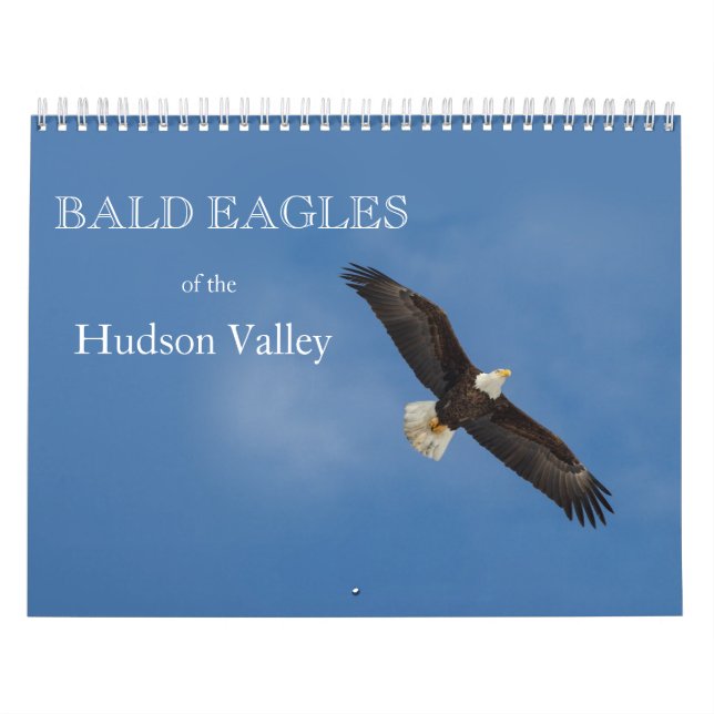 Águias Baldas do Calendário do Vale do Hudson (Capa)