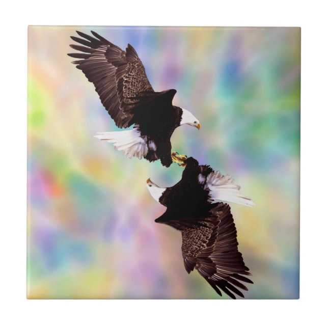 Águias dançantes (Frente)