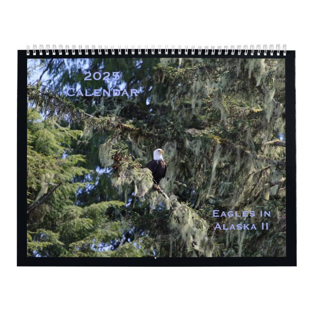 Águias no Alasca II Calendário (Capa)