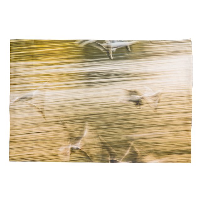 Agulhas voadoras - abstrato (Verso)