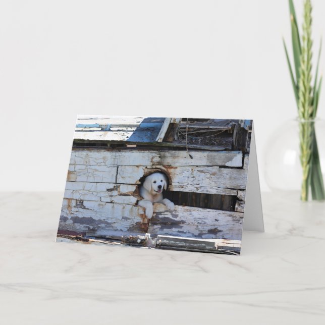 Ahoy Matey Happy Cartão de Dia de os pais (Frente)