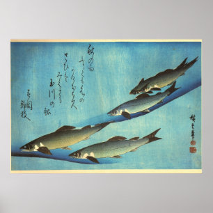 Ai (truta) - impressão japonês dos peixes de