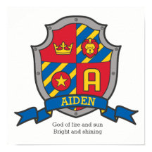 Aiden boys name e significado shield poster