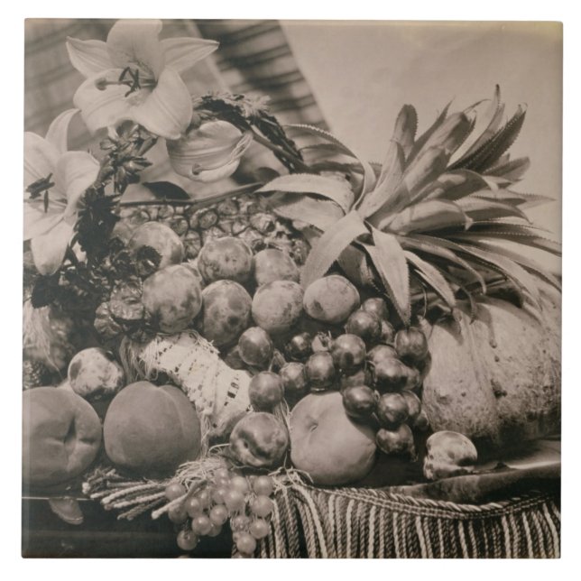 Ainda vida com fruta, 1860 (foto do sepia) (Frente)