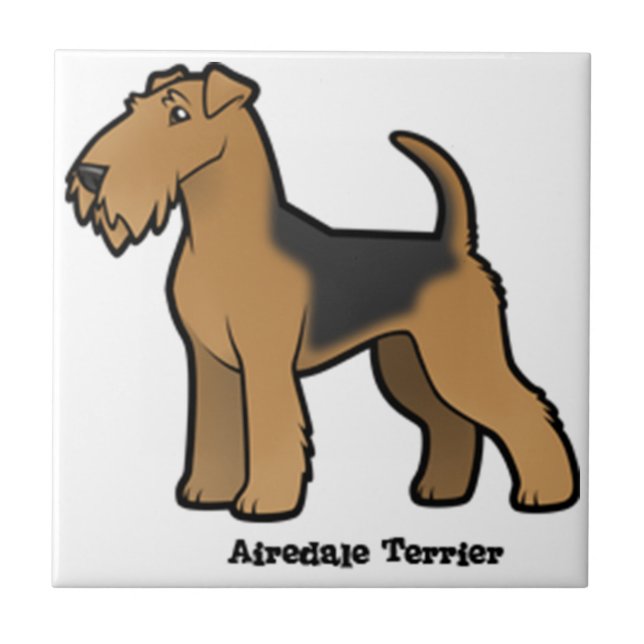 airedale terrier (Frente)