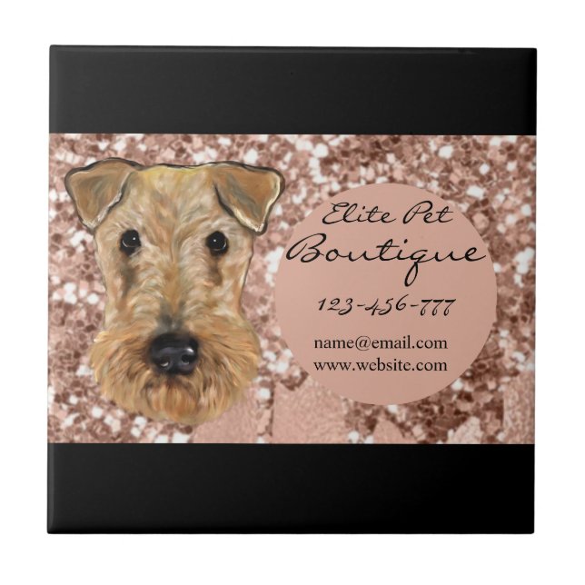 AIREDALE TERRIER (Frente)