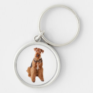 Airedale Terrier Filhote de Cachorro Chaveiro Prem