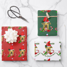 Airedale Terrier Santa Hat Natal
