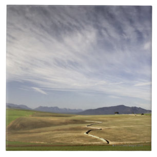Ajardine com campos de trigo, Grabouw, ocidental