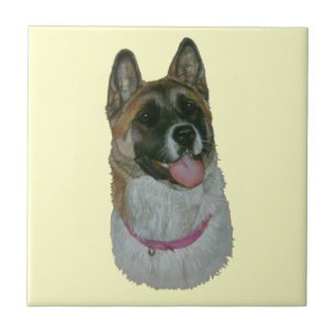 akita bonito na arte cor-de-rosa do retrato do cã
