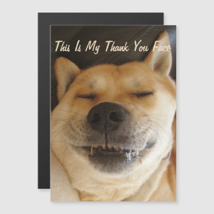 akita japonesa engraçada com obrigado de sorriso 