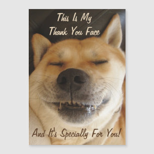 akita japonesa engraçada com obrigado de sorriso b