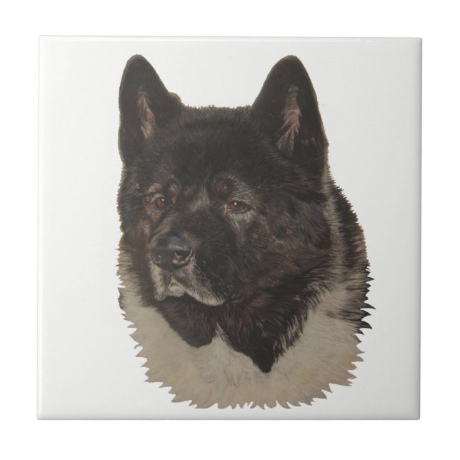 akita negra com arte de retrato de cão branco (Frente)