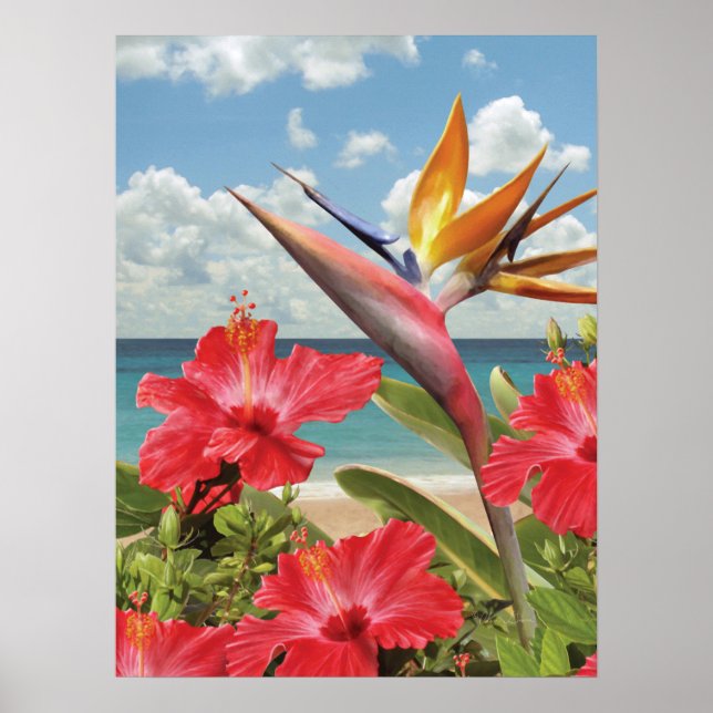 Alan Giana "Hibiscus in Paradise" Poster (Frente)