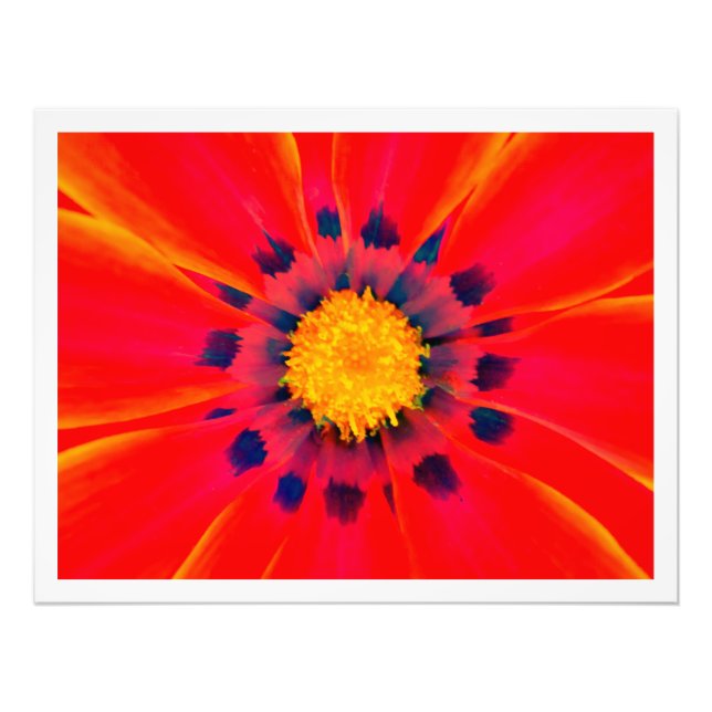 Alargamento de Fotografias (Frente)