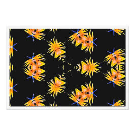 Alargamento de Fotografias