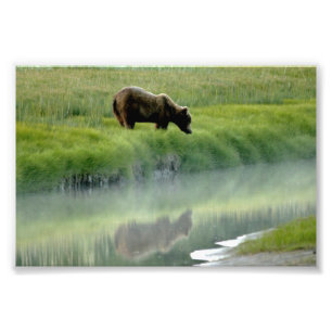 Alargamento de Fotografias