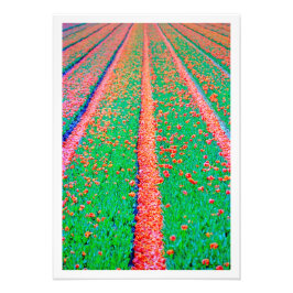 Alargamento de Fotografias