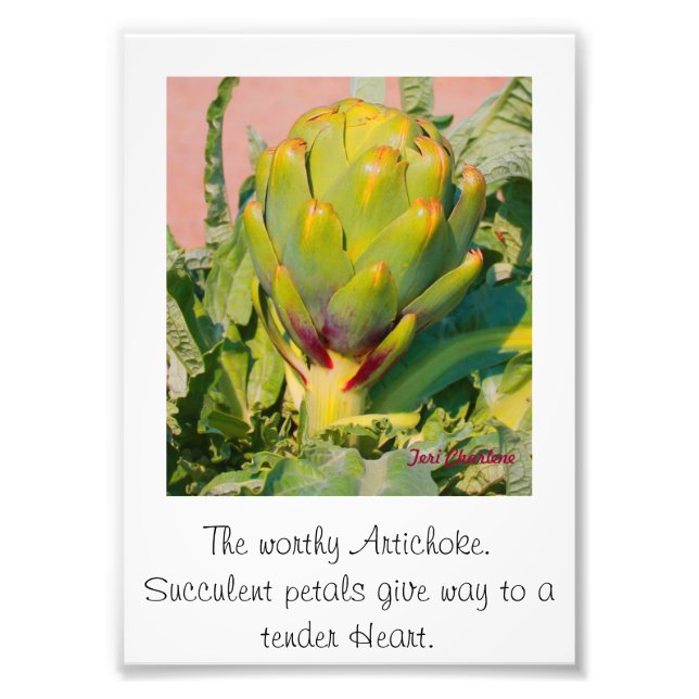 Alargamento de Fotografias (Frente)