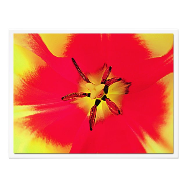 Alargamento de Fotografias (Frente)