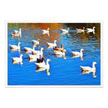 Alargamento de Fotografias