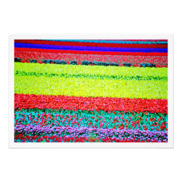 Alargamento de Fotografias