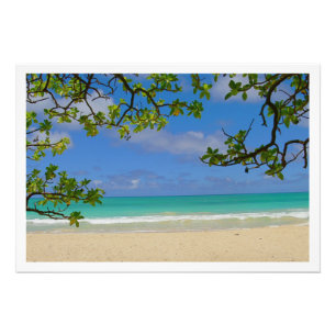 Alargamento de Fotografias