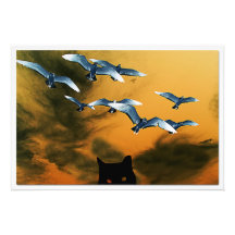 Alargamento de Fotografias