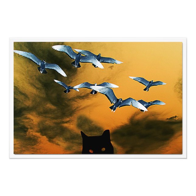 Alargamento de Fotografias (Frente)