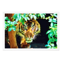 Alargamento de Fotografias