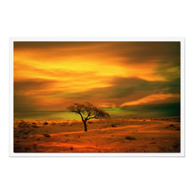 Alargamento de Fotografias (Frente)