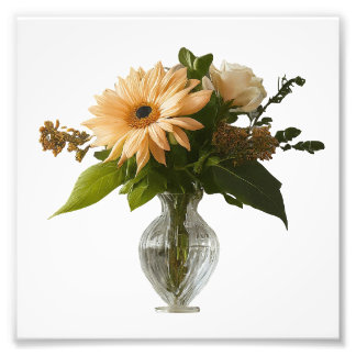 Alargamento de Fotografias