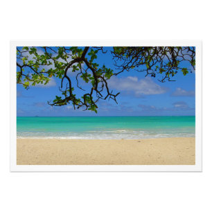 Alargamento de Fotografias