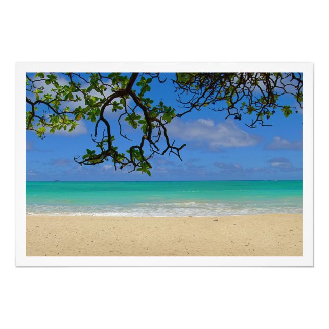 Alargamento de Fotografias (Frente)