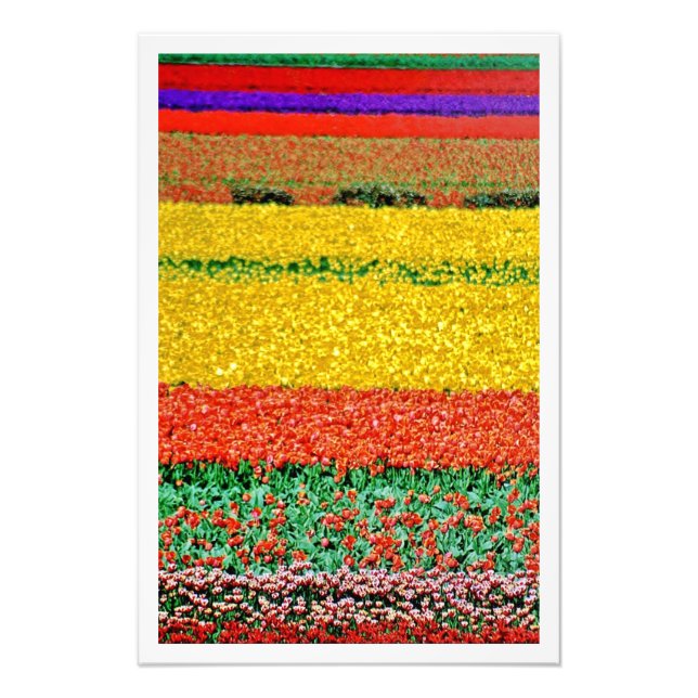 Alargamento de Fotografias (Frente)