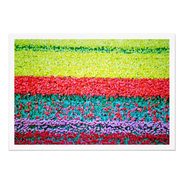 Alargamento de Fotografias (Frente)