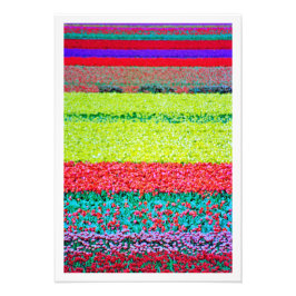 Alargamento de Fotografias