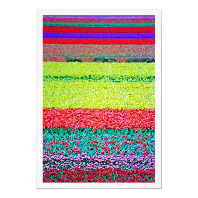 Alargamento de Fotografias (Frente)