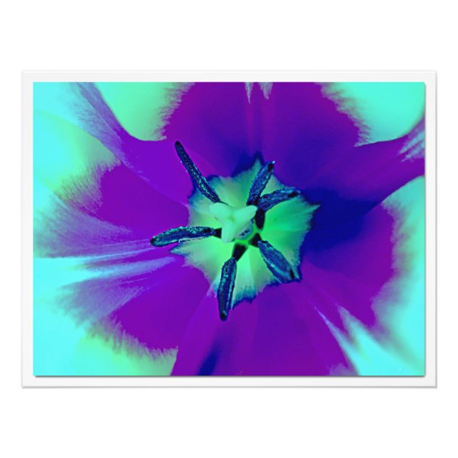 Alargamento de Fotografias (Frente)