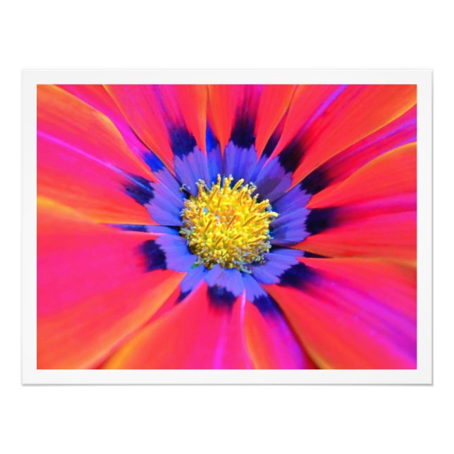 Alargamento de Fotografias (Frente)