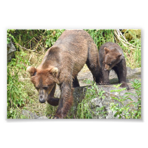 Alargamento de Fotografias