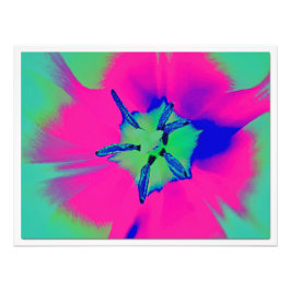 Alargamento de Fotografias