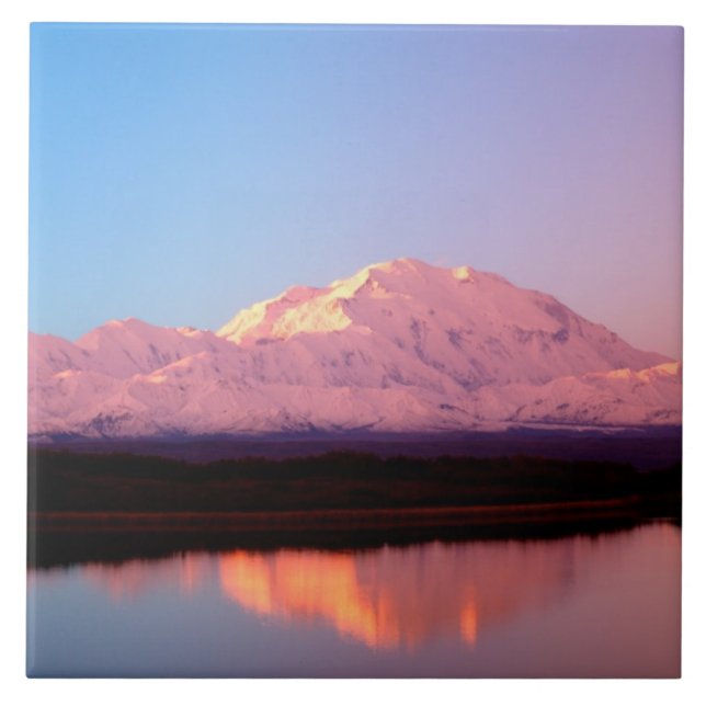 Alasca, Parque Nacional Denali, Mt. McKinley em (Frente)