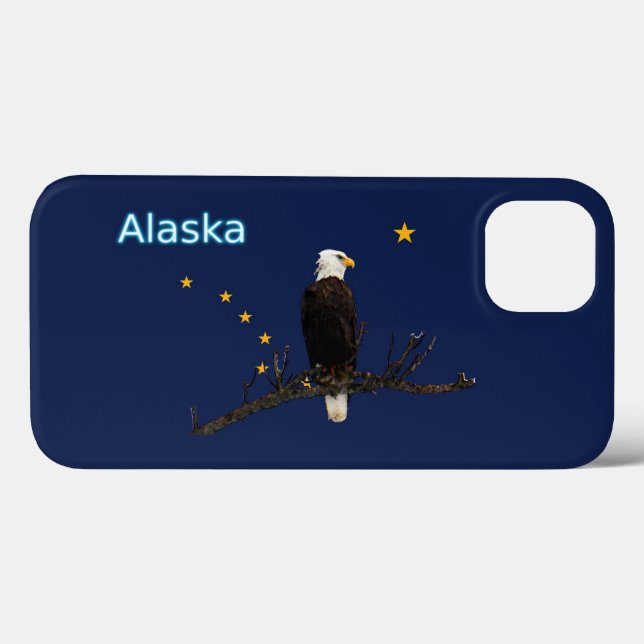 Alaska Eagle E Flag (Verso (horizontal))