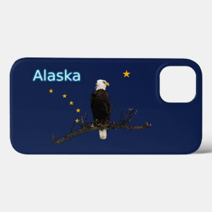 Alaska Eagle E Flag