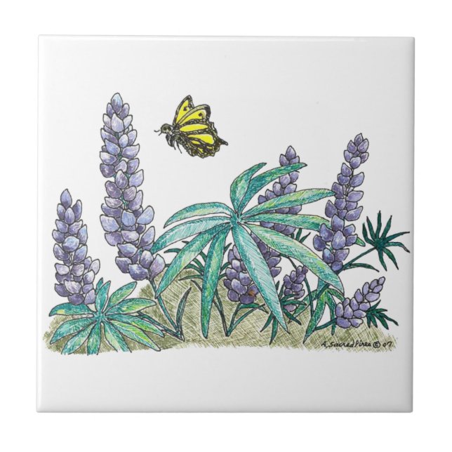 Alaska Lupine Watercolor (Frente)